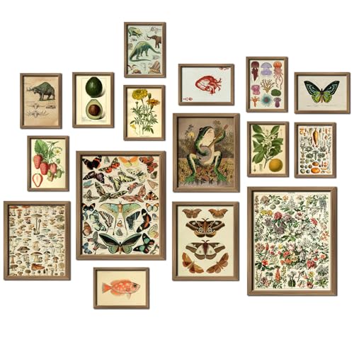 16 PCS Framed Vintage Wall Art Decor (16 Count)