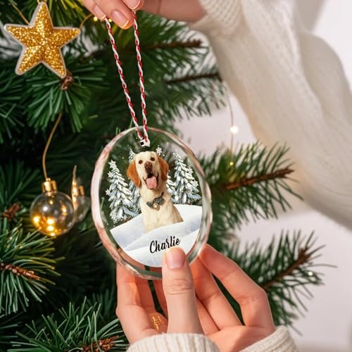 Custom Pet Christmas Ornament with Photo