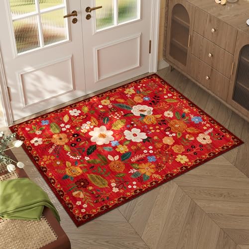 Door Mat 2x3 Area Rug Washable