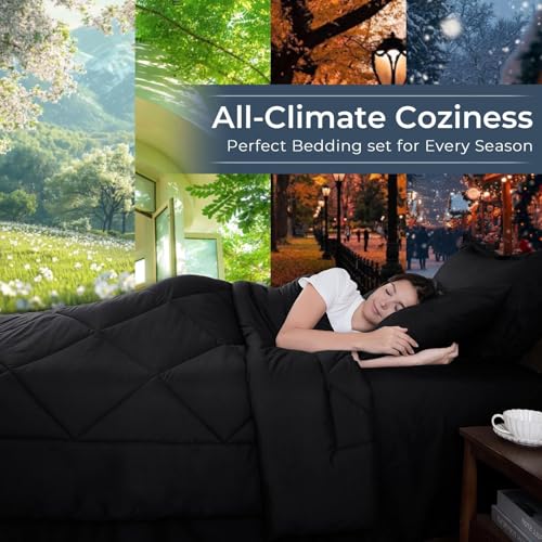 7 Piece Oversized Queen Comforter Set