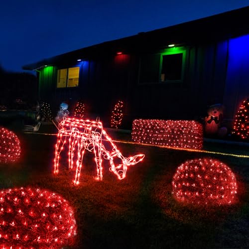 Christmas Net Lights