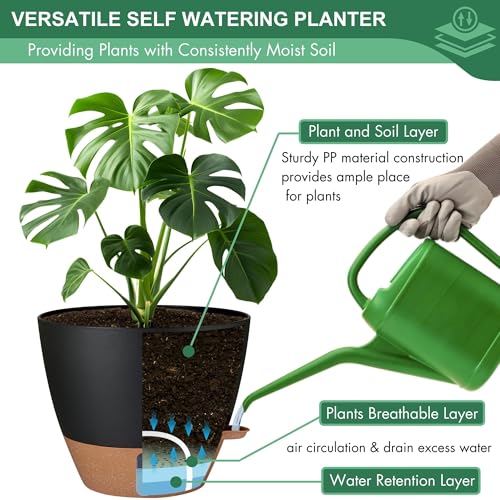 5 Pack Easy Plant Self Watering Pots for Indoor Plants (5 Count)