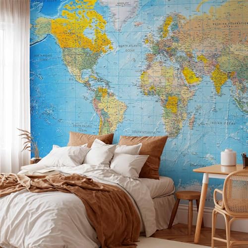 Wall Mural World Map 154x110 in (118.18 Sq Ft)