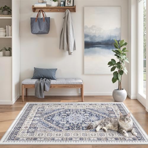 4x6 Area Rug for Entryway (10.7639 Sq Ft)