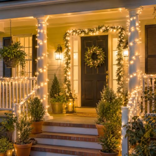 Clear Christmas Lights Set (26 Foot)