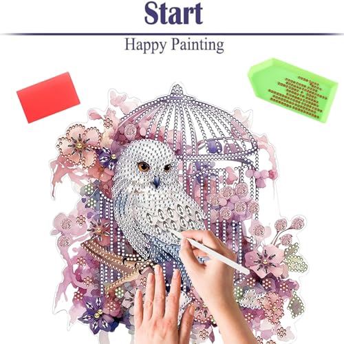 Diamond Painting Kits for Adults Beginners
