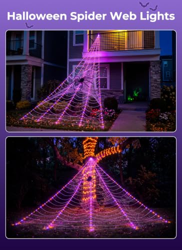 Halloween Decorations Outdoor (Orange & Purple)