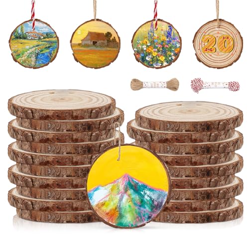 20 Pcs Wooden Discs for Crafts (20 Count)