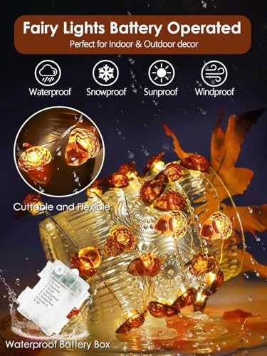 Acorn Fall Lights Battery Operated LED String Lights with Remote & Timer