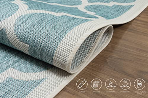 Outdoor Indoor Area Rug