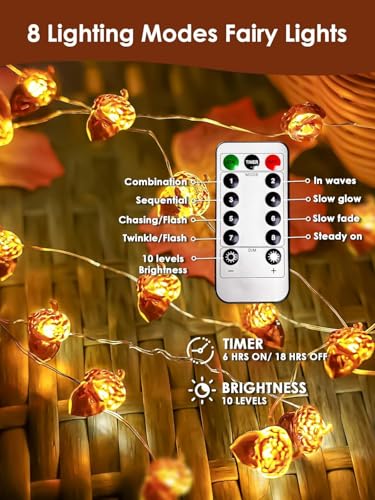 Acorn Fall Lights Battery Operated LED String Lights with Remote & Timer