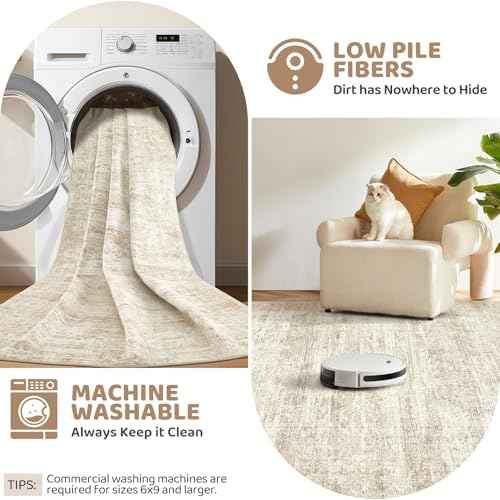 2x3 Entryway Area Rug