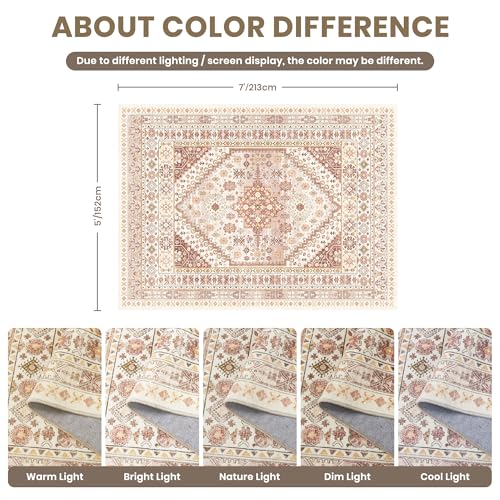 5x7 Area Rugs for Living Room