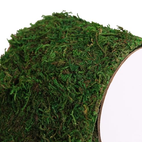Moss Roll Dried Moss for Crafts