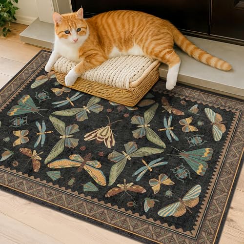 Small Black Entryway Rug (6 Sq Ft)