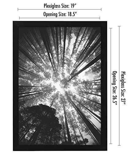 19x27 Poster Frame
