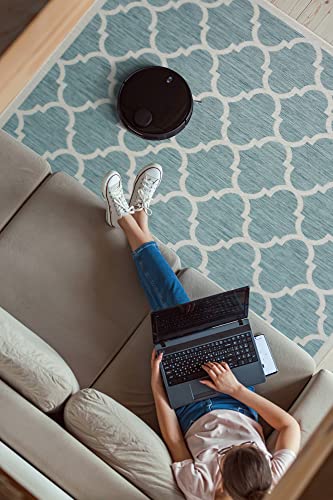 Outdoor Indoor Area Rug