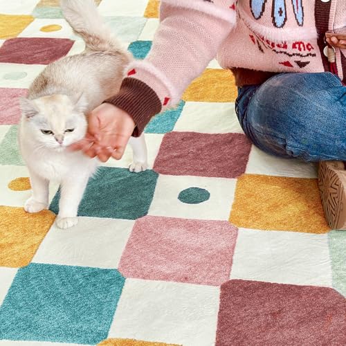4x6 Area Rug for Kids Room Colorful Play Mat Washable Classroom Rug (24 Sq Ft)