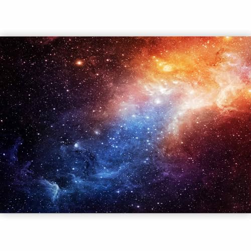 Wall Mural Wallpaper (8 Count)