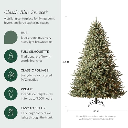 5.5ft Pre Lit Classic Blue Spruce