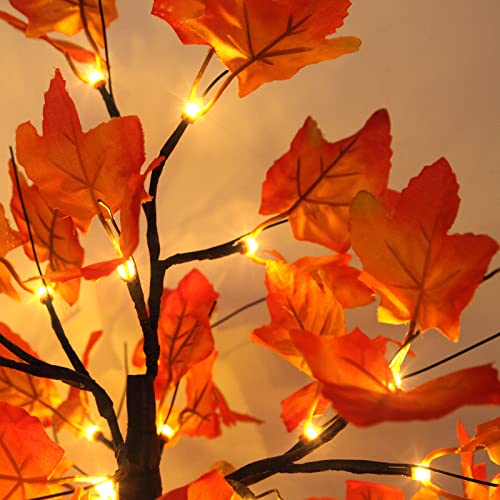 2 Pack Lighted Maple Tree 20 Inch 48LED Fall Artificial Tree for Thanksgiving Harvest Indoor Decoration (2 Count)