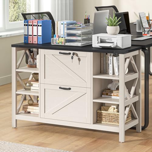 File Cabinet with 2 Drawers