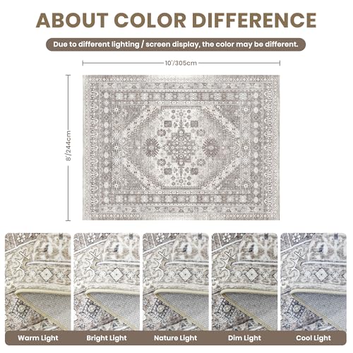 8x10 Area Rugs for Living Room