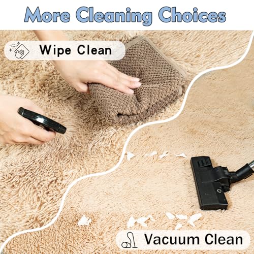 Fluffy Rug for Living Room Bedroom