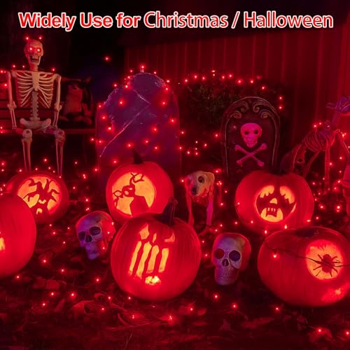 Solar Fairy Lights (2 Count)