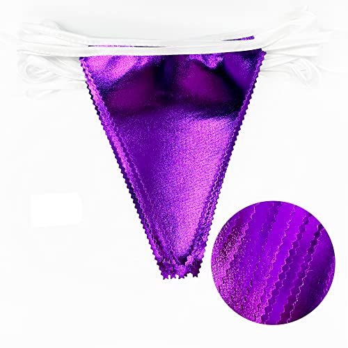 Purple Party Decorations Triangle Pennant Banner Flag Dark Purple Metallic Fabric Bunting Garland for Graduation Wedding Bridal Shower Birthday Anniversary Holiday Halloween Disco Party Supplies (36 Count)