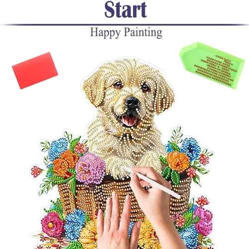 Diamond Painting Kits for Adults Beginners