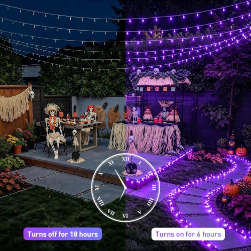 99Ft Purple Halloween Lights (99 Foot)