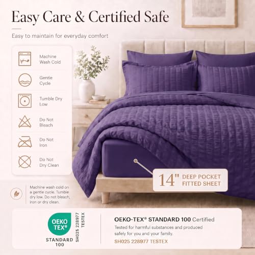 Queen Comforter Set