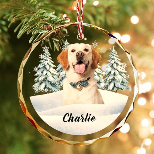 Custom Pet Christmas Ornament with Photo
