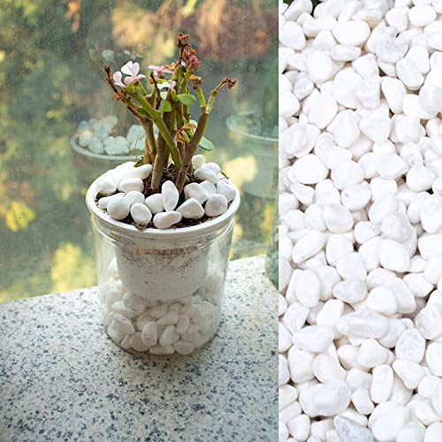 White Pebbles for Plants Garden 18 lb White Rocks Gravel Decorative Stones Landscaping Vase Fillers 1