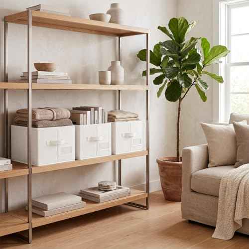 Closet Shelf Baskets with Label (3 Count)