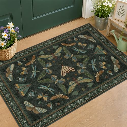 2x3 Entry Way Rugs Indoor (6 Sq Ft)