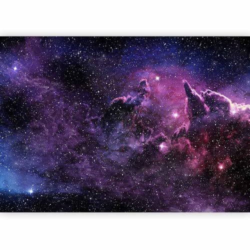 Wall Mural Wallpaper (4 Count)