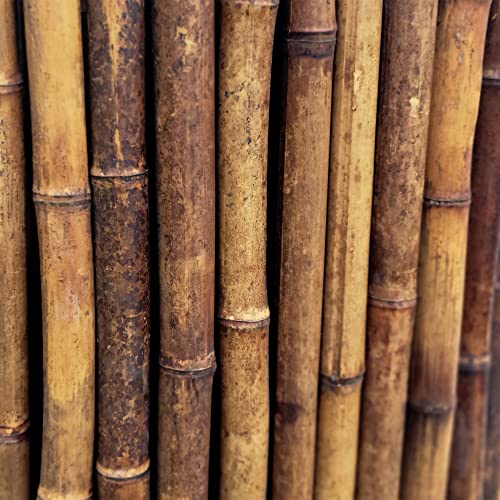 Caramel Brown Bamboo Fence Roll Outdoor Fencing Panels 4 ft H x 8 ft L