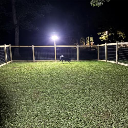 Solar Lights Outdoor Waterproof Motion Sensor (3 Count)