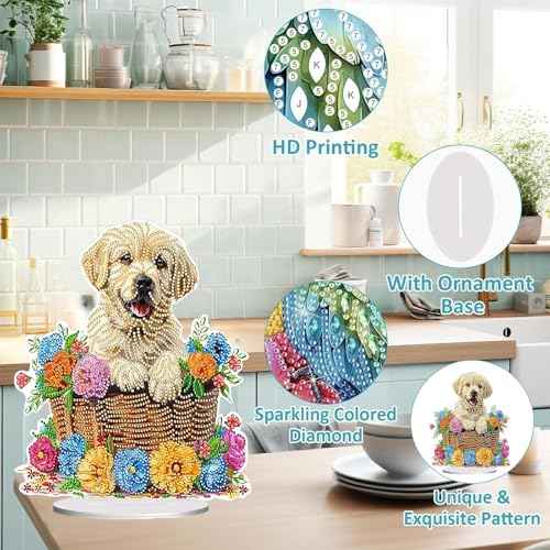 Diamond Painting Kits for Adults Beginners