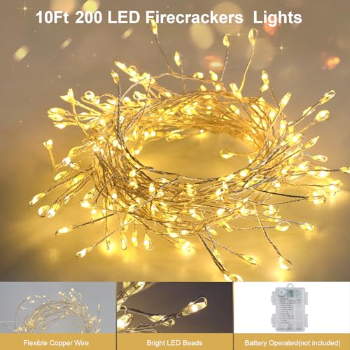 Dual Color 10Ft 200 LED Fairy Lights Battery Operated with Remote Timer (200 Count)