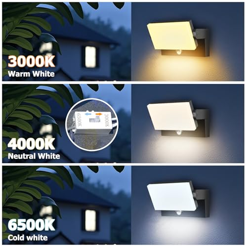 40W LED Outdoor Wall Lights
