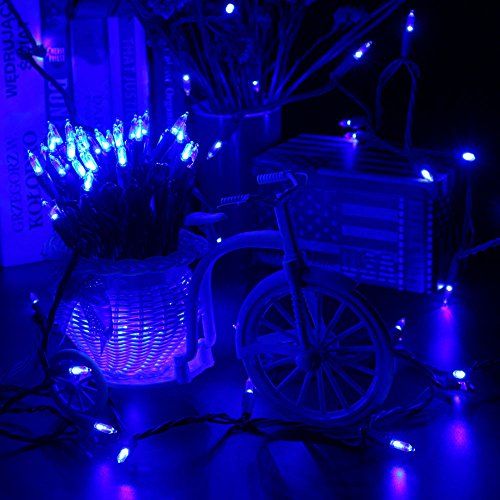 Blue Christmas Lights (33 Foot)