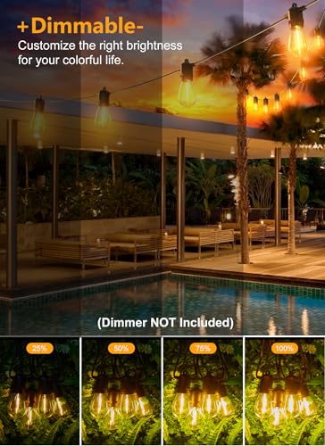 LED Outdoor String Lights for Patio 100FT with 32 Shatterproof S14 Vintage Edison Bulbs (32 Count)