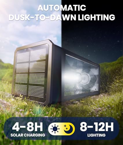 Solar Pathway Lights for Outside (4 Count)