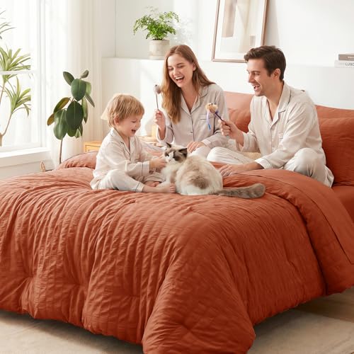 Queen Comforter Set