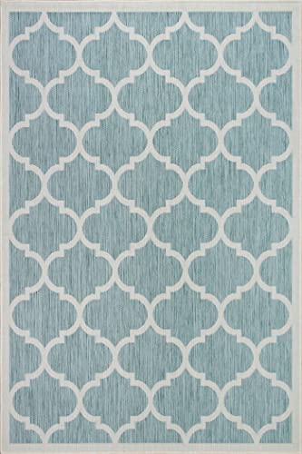 Outdoor Indoor Area Rug