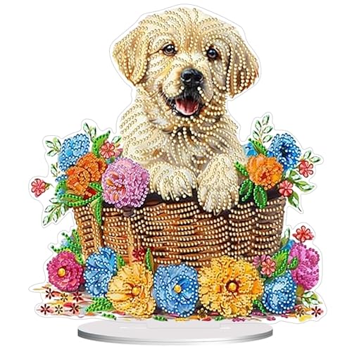 Diamond Painting Kits for Adults Beginners