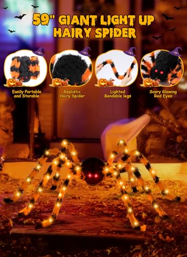 Halloween Decor (Orange & Black)